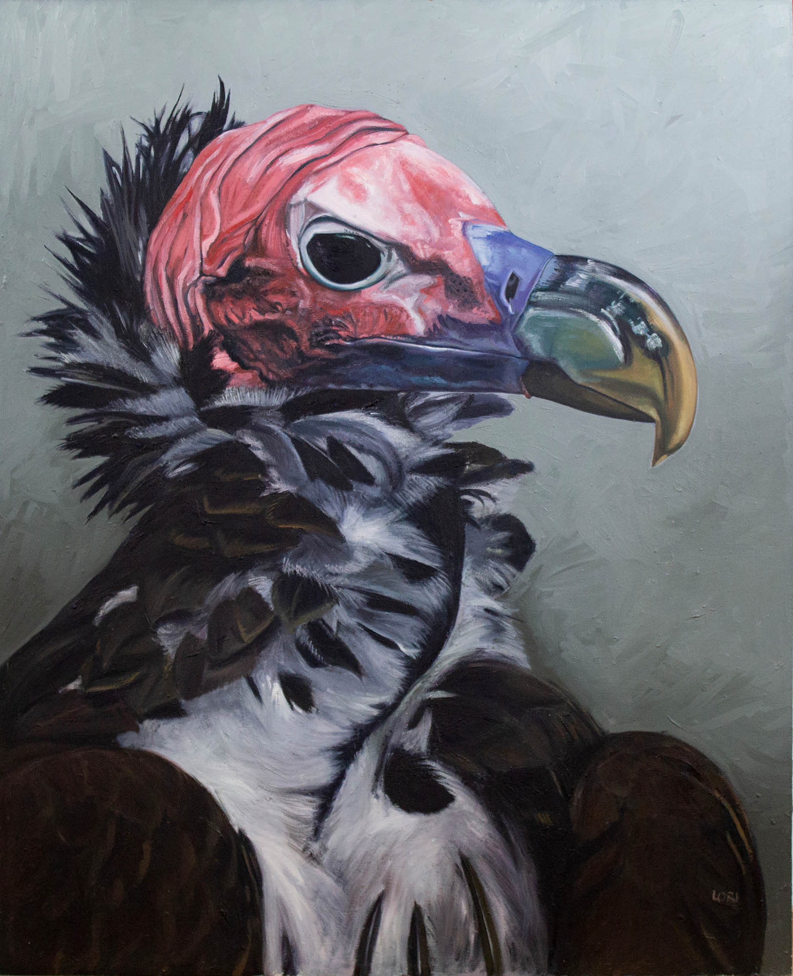LAPPET-FACED VULTURE